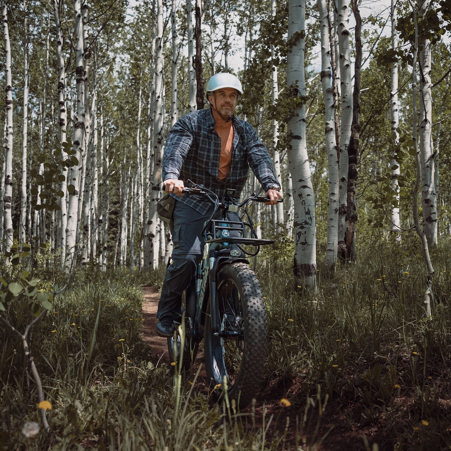 Alpine Fat Tire eBike - All-Terrain Adventure image 2