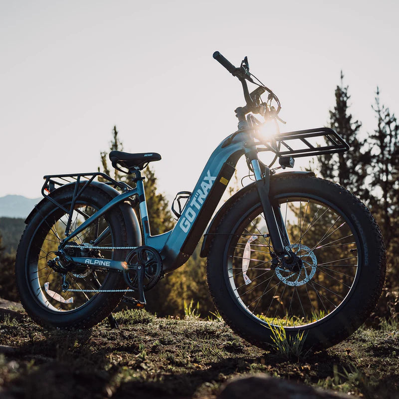 Alpine Fat Tire eBike - All-Terrain Adventure image 10