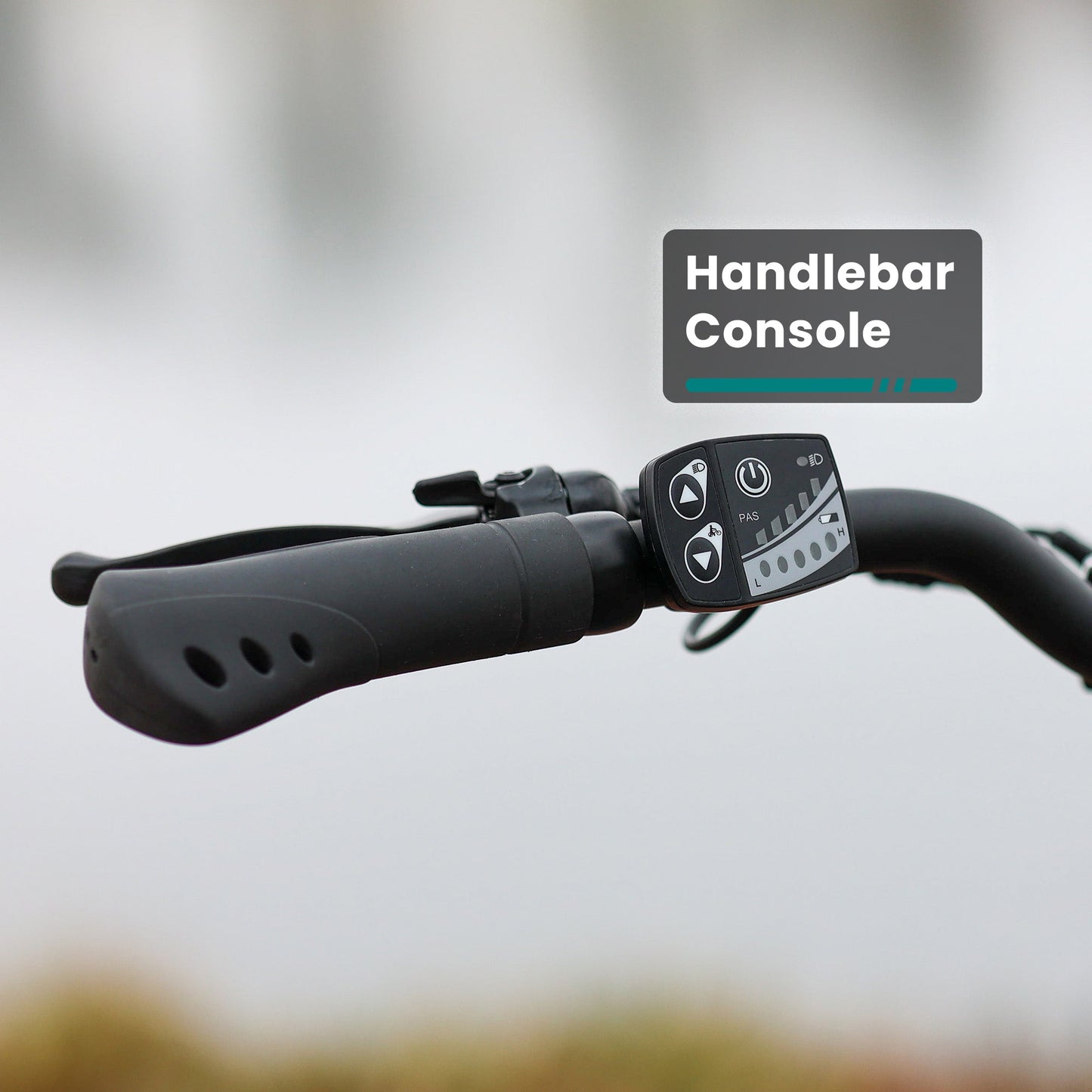 GoTrax Porter Electric Cargo Bike: Integrated Rear Rack, Versatile Commuter E-Bike
